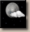 Tonight: Mostly clear, with a low around 23. Southwest wind around 5 mph. Tonight: Mostly Clear